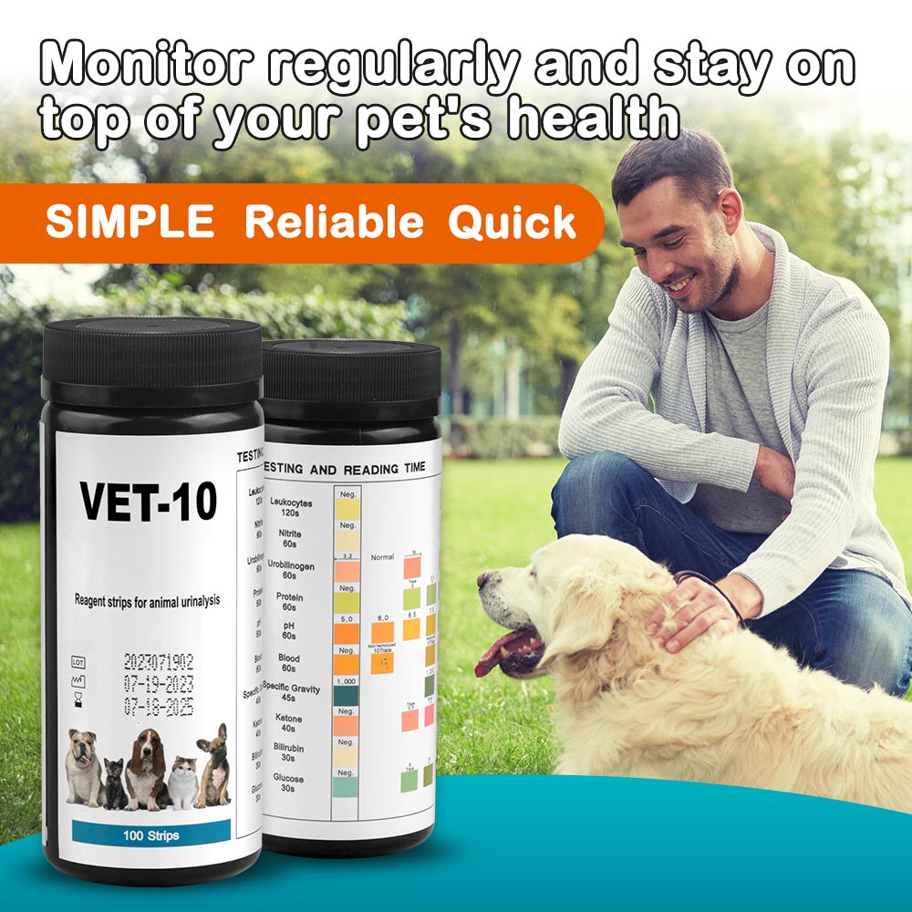 Urinalysis Reagent Strip - Tiras reactivas de orina para perros