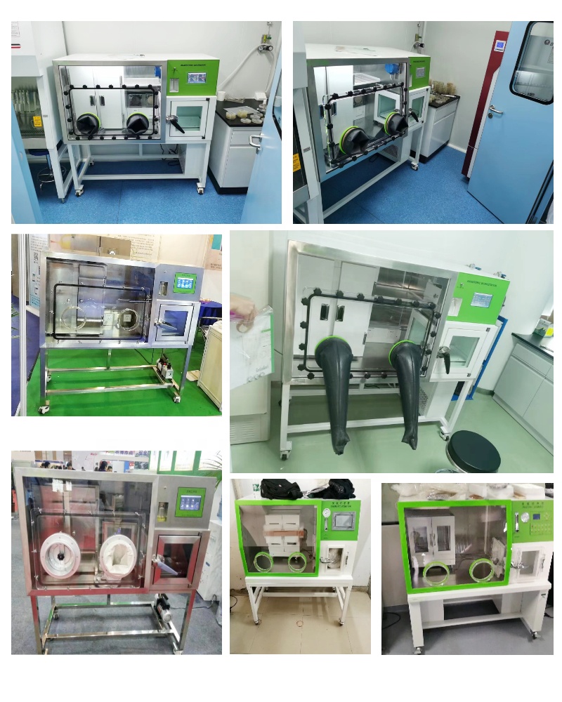 WEIAI Estación de Trabajo Anae - Incubator Co2 Lab reseña y precio