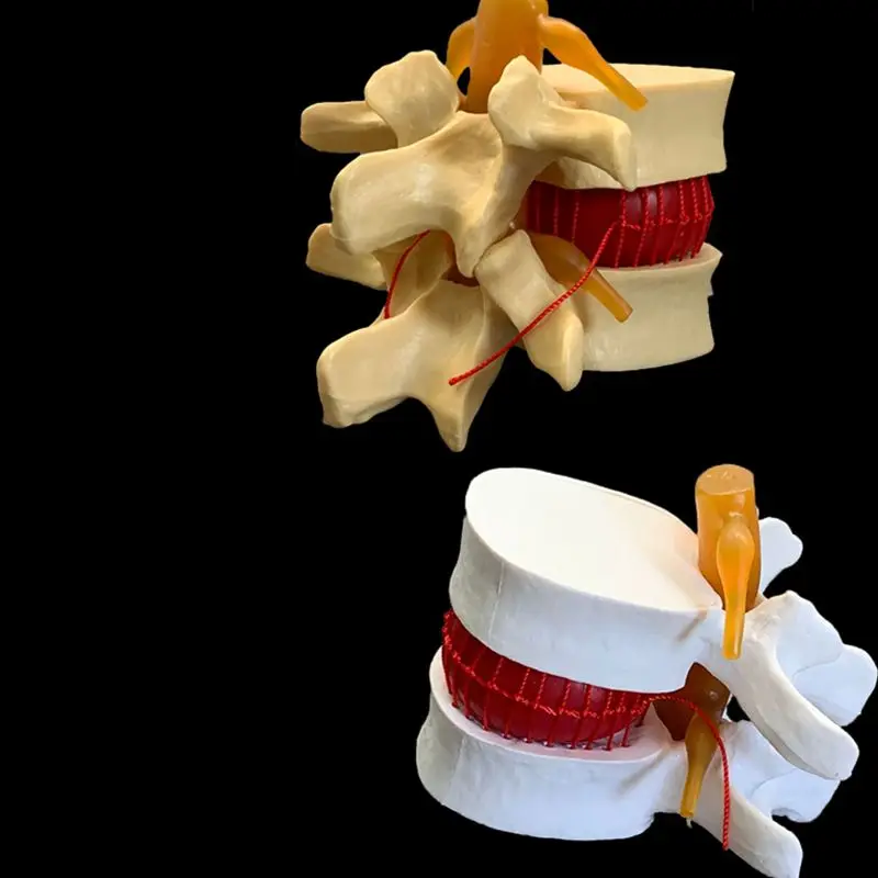 Modelo anatómico de demostraci - Examination Bed Medical reseña y precio