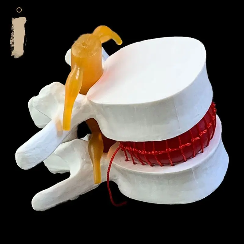 Modelo anatómico de demostraci - Examination Bed Medical reseña y precio