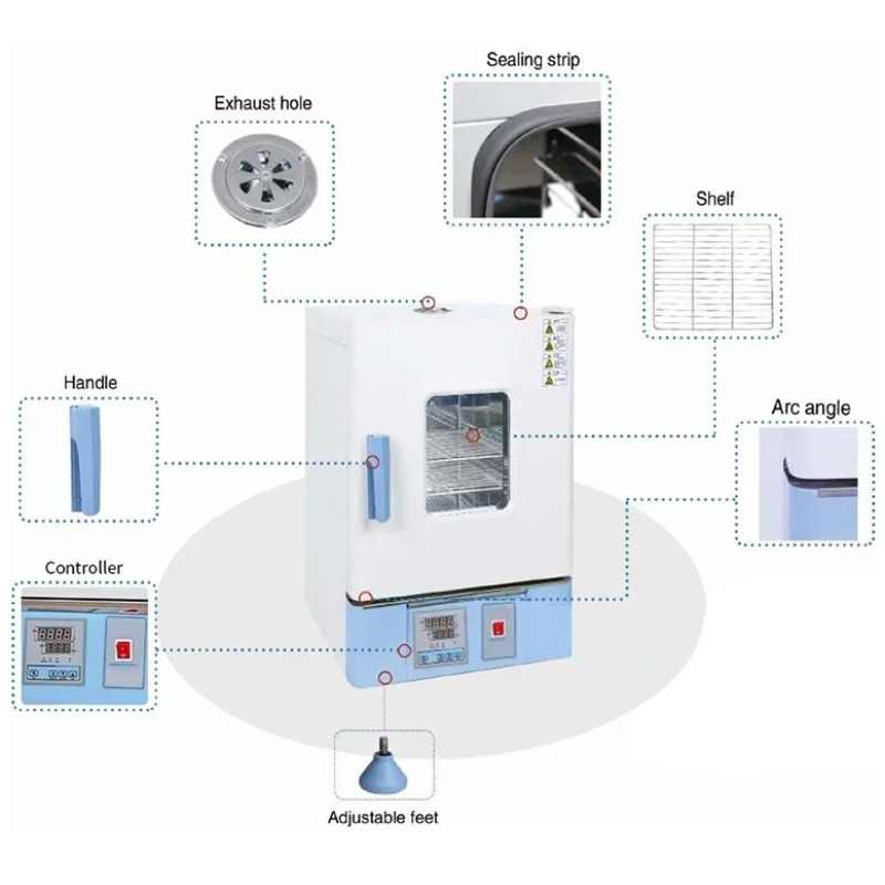 Incubadora de bacterias de co2 - Incubator Co2 Lab reseña y precio