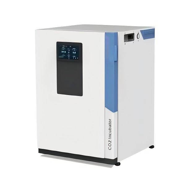 Incubadora de CO2 BS-WJ-160T 2 - Incubator Co2 Lab reseña y precio